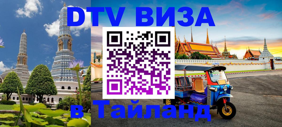 Оформление DTV визы под ключ: стоимость и тарифы, только загранпаспорт - Бийск 